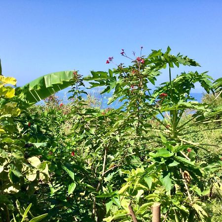 Chez Jocelyne Pres Des Sources Chaudes Βίλα Bouillante Εξωτερικό φωτογραφία