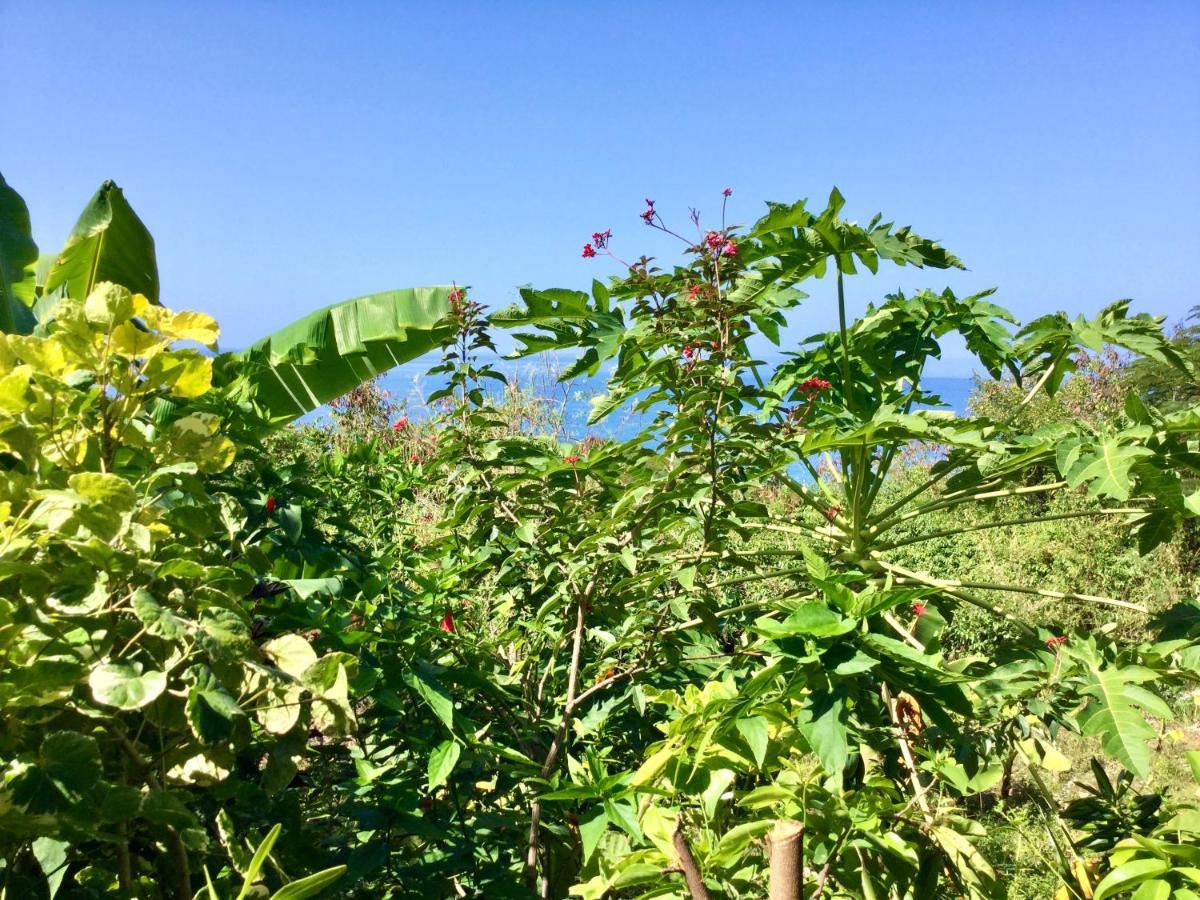 Chez Jocelyne Pres Des Sources Chaudes Βίλα Bouillante Εξωτερικό φωτογραφία